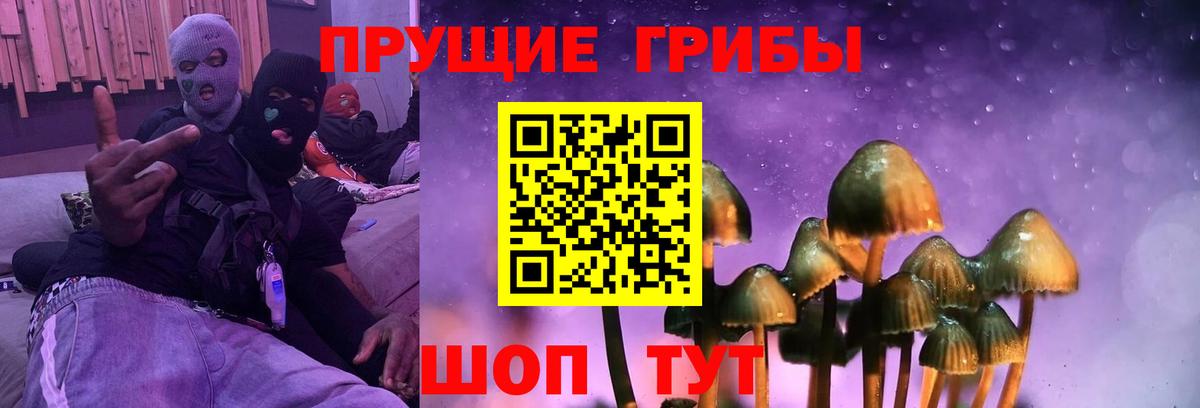 Галлюциногенные грибы MAGIC MUSHROOMS  Вход с VPN  Берёзовский 