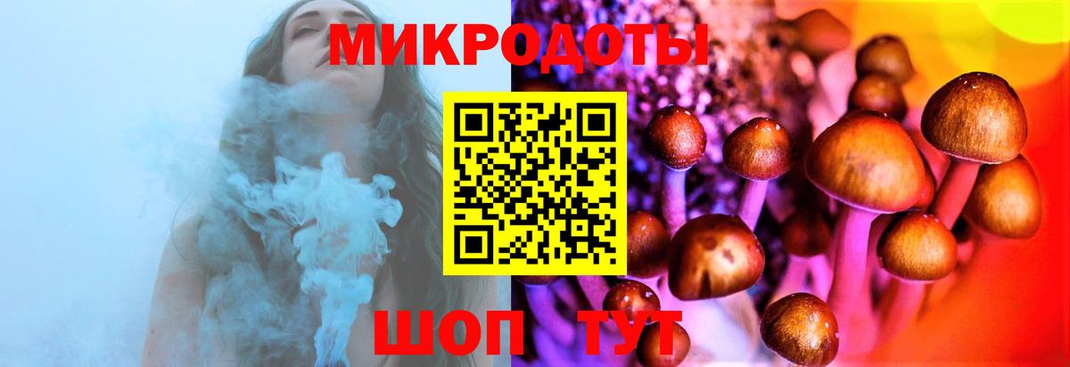 Галлюциногенные грибы MAGIC MUSHROOMS Берёзовский